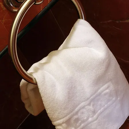 酒店 阿尔克玛酒店 希洪